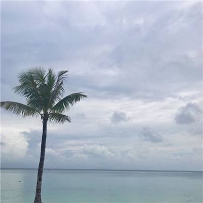 天刀大逃杀破解版下载